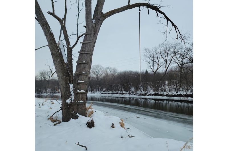 the old rope swing in winter