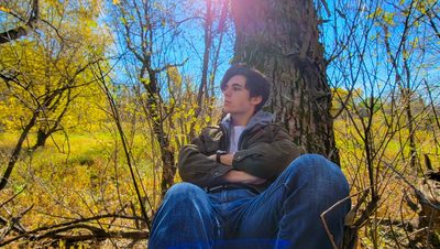 Quinn in Arb