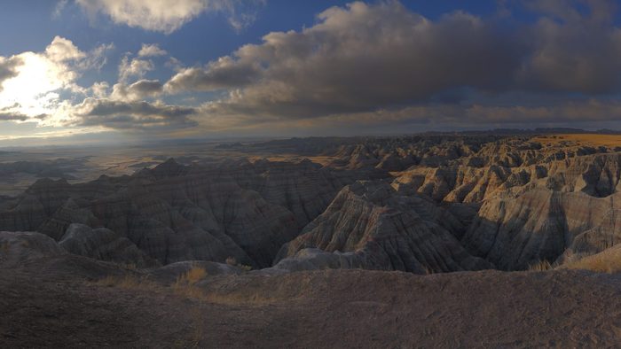 view