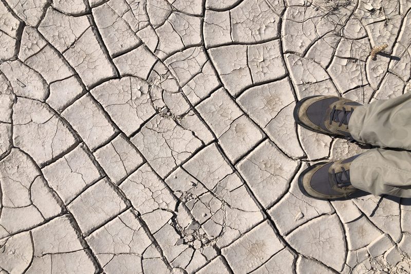 mud cracks