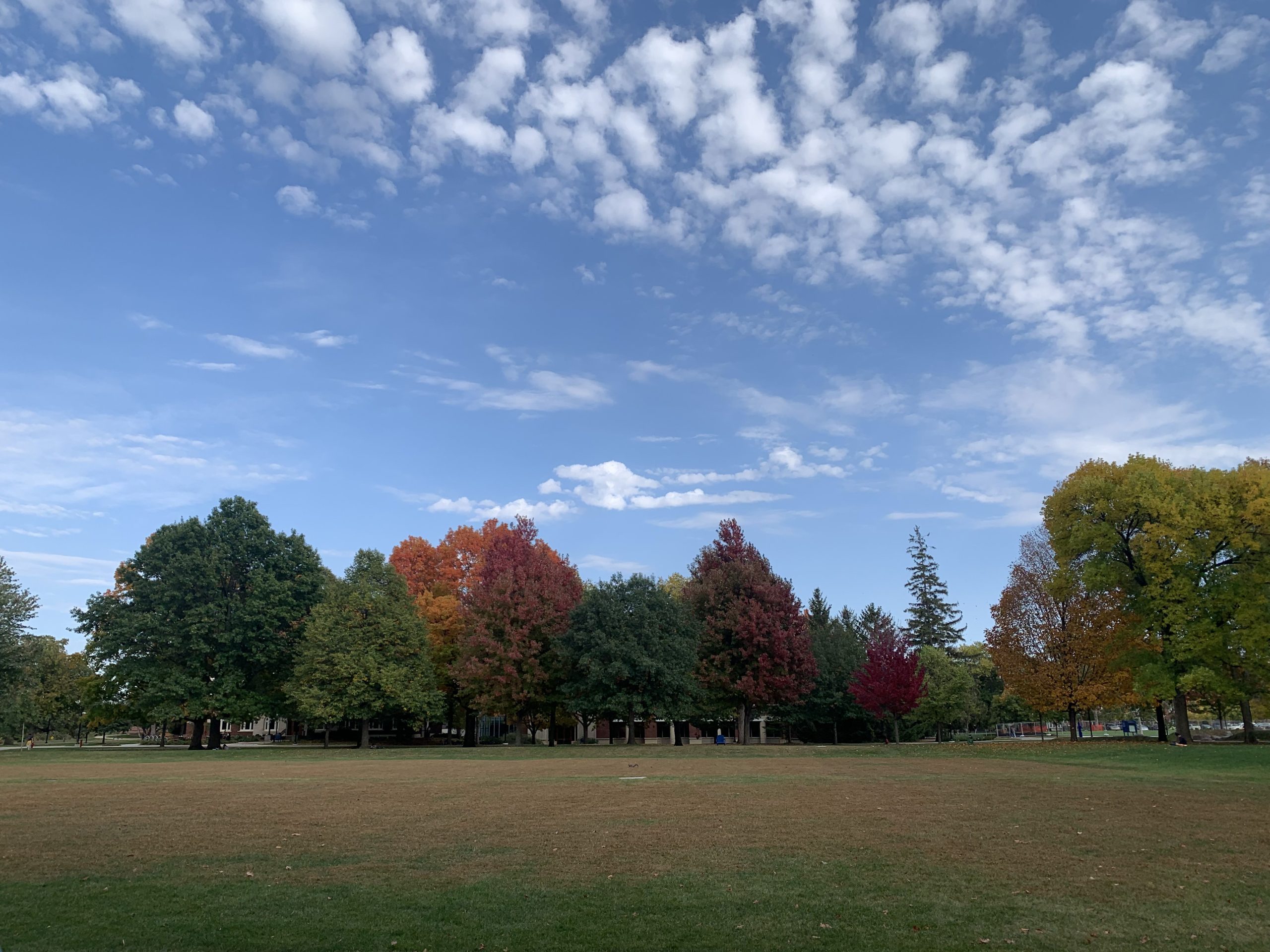campus during fall term