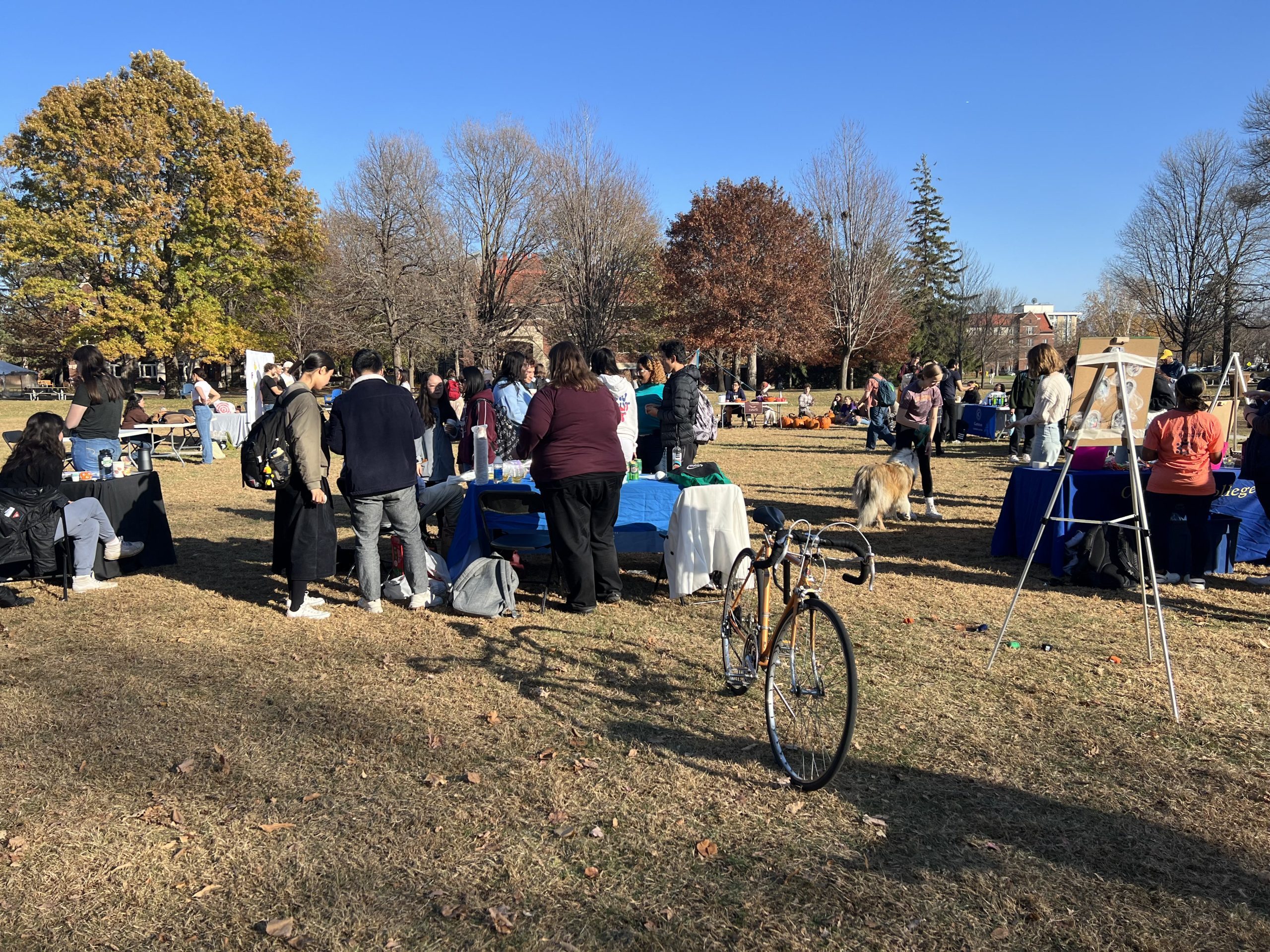 fall festival 2022