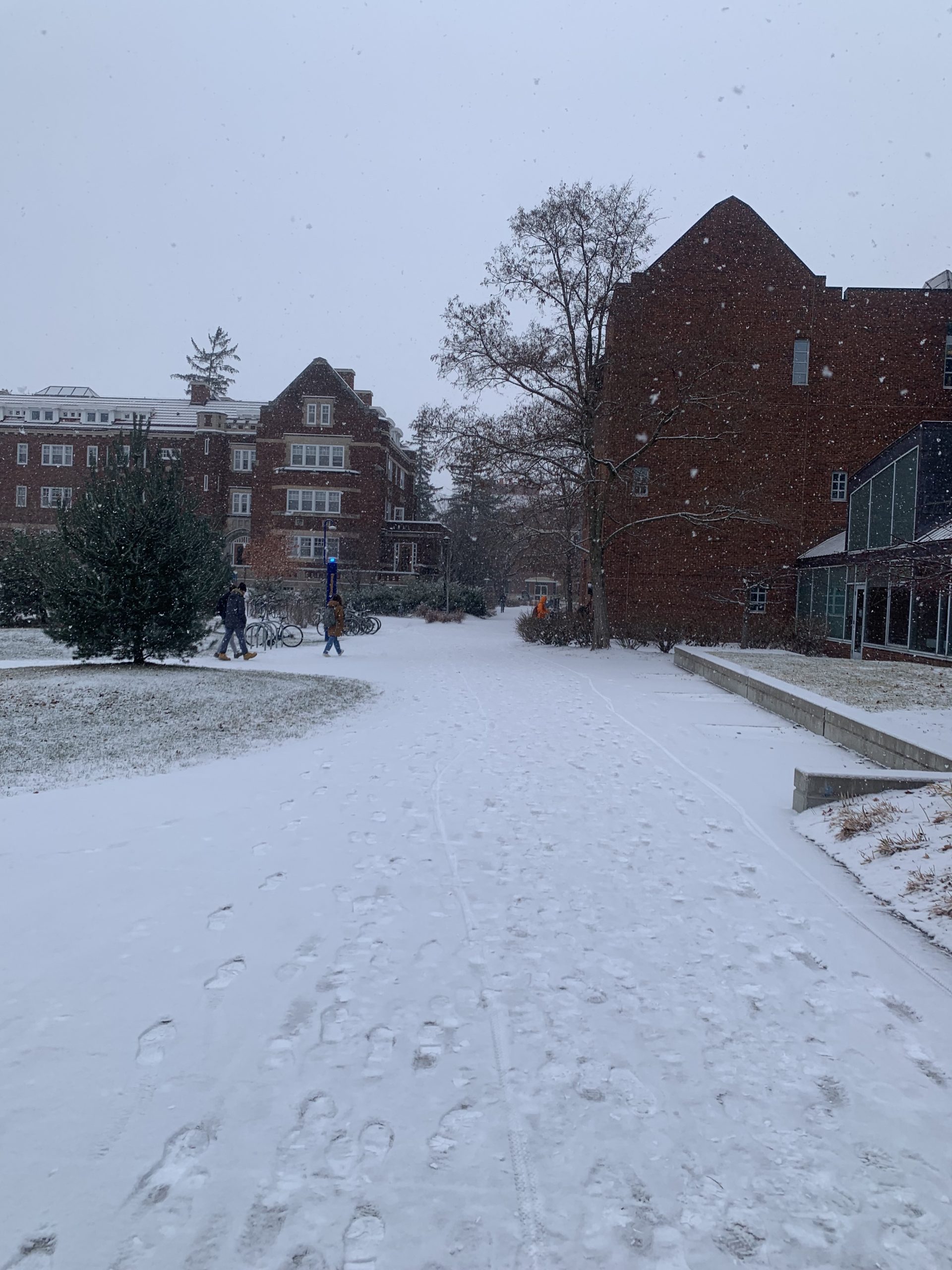 snow
