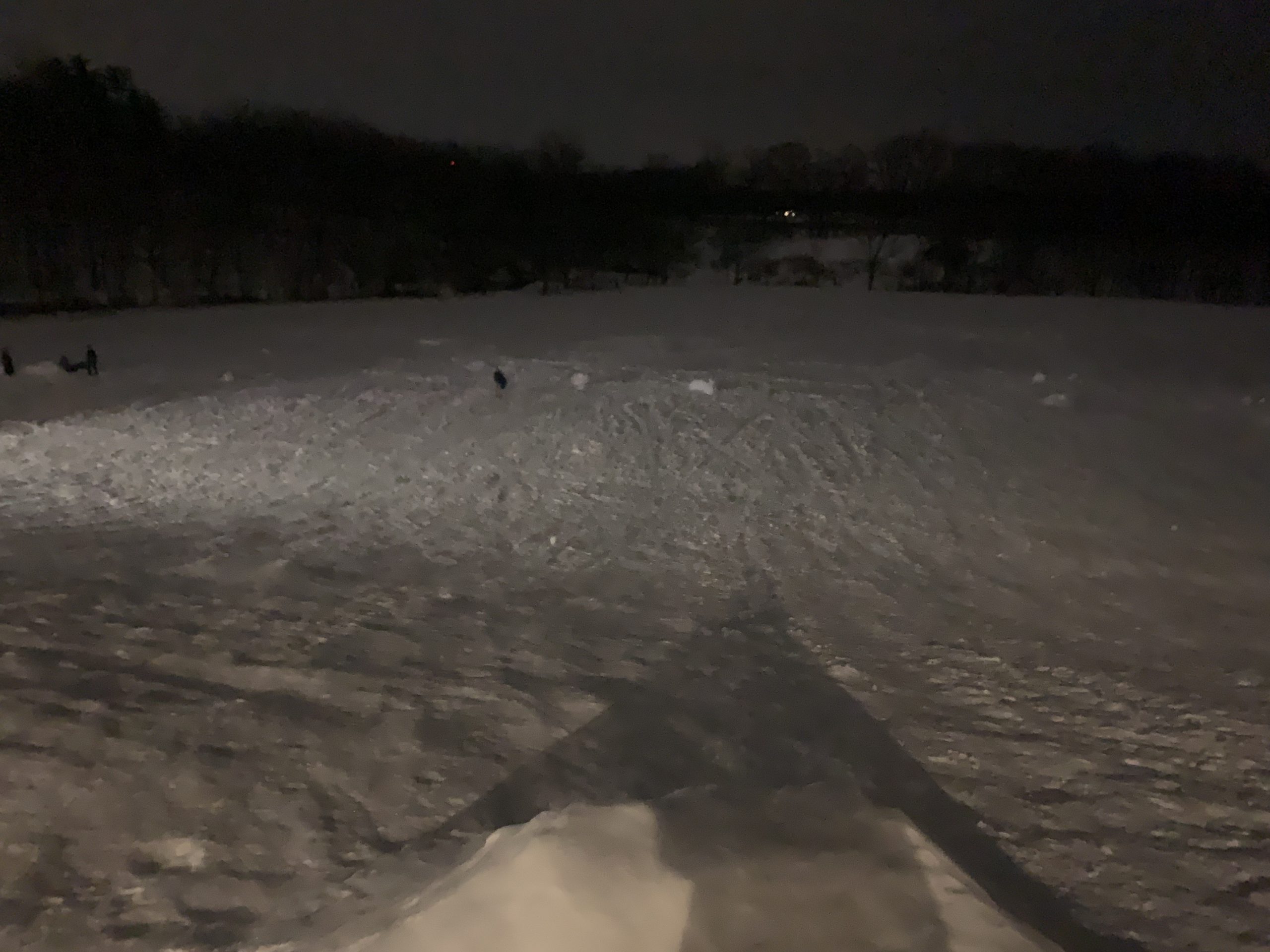 sledding