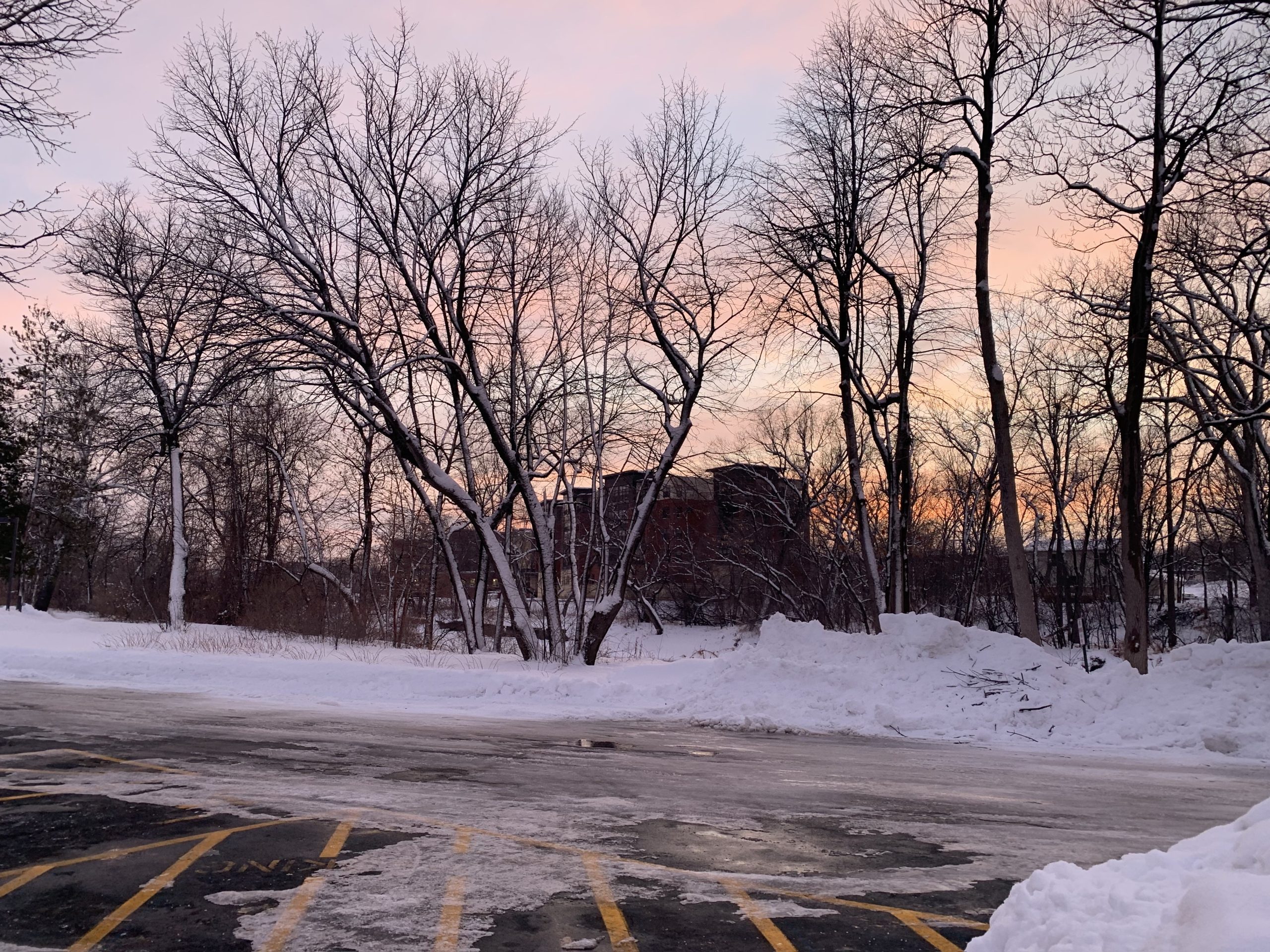 campus sunset