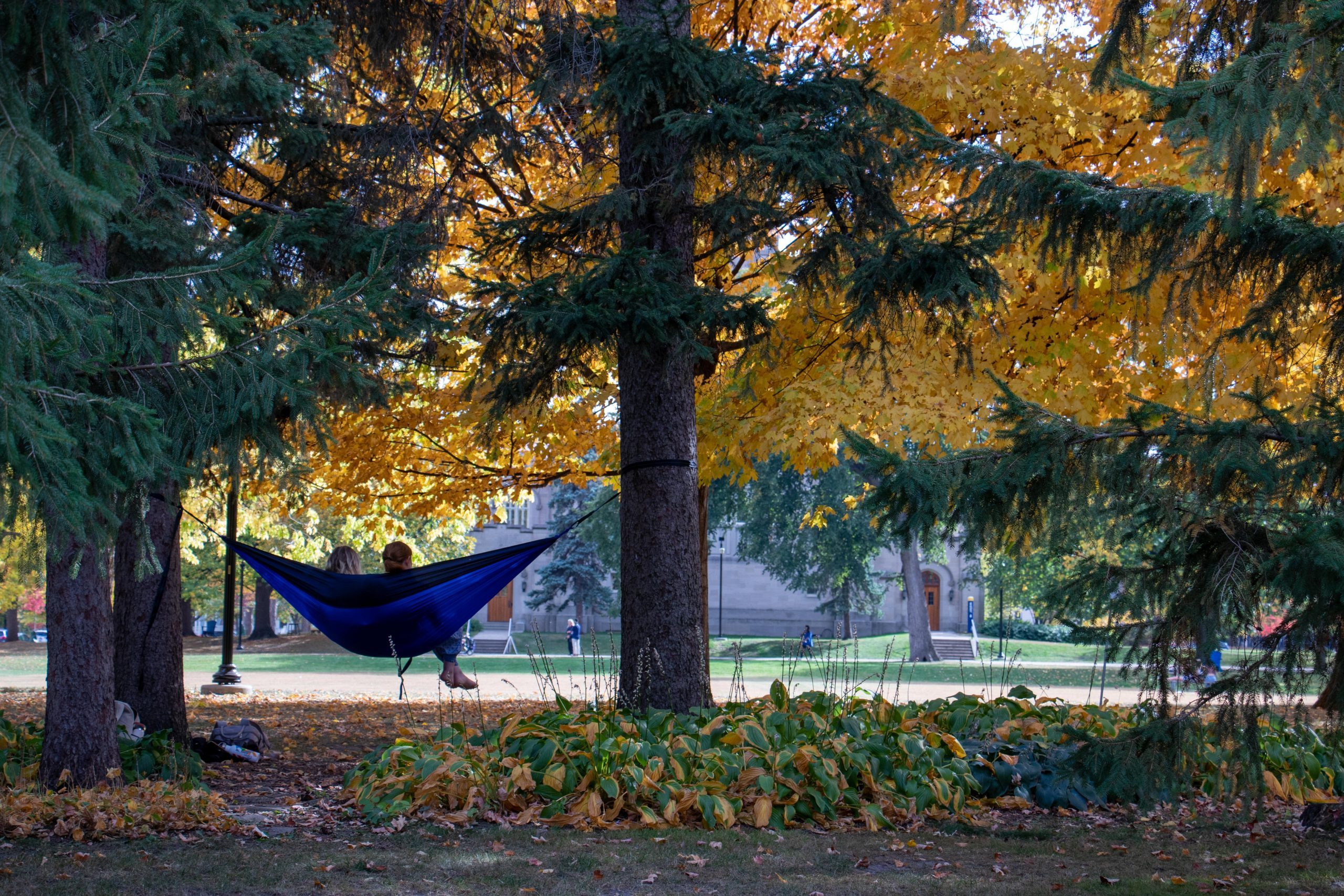 Students on a hammock on the Bald Spot.