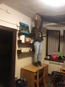A young woman stands on the desk trying to set up a flag on the ceiling.