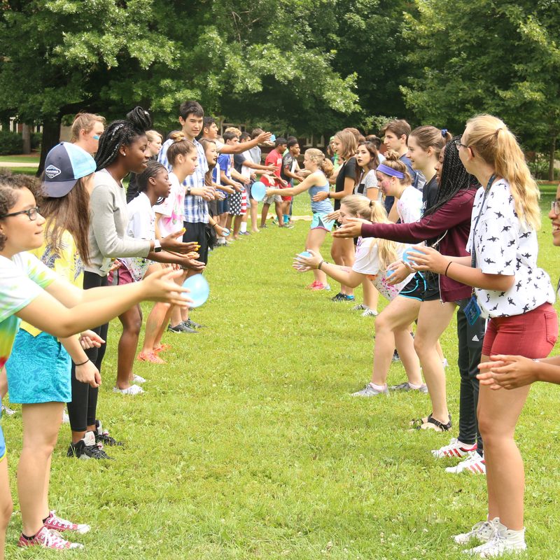 Summer at Carleton Summer Liberal Arts Institute Carleton College