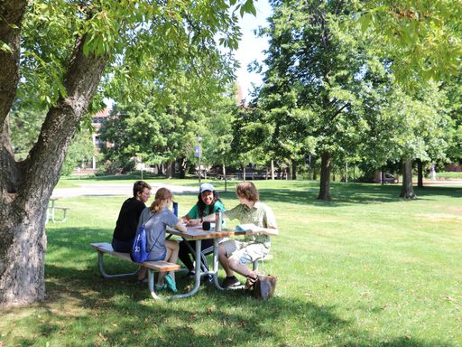 4 students sitting outside at a picnic table, working together. The table is on a grassy spot with multiples trees surrounding it.