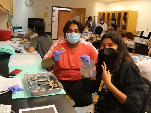 Two neuroscience students pose, holding up pieces of a brain during lab.