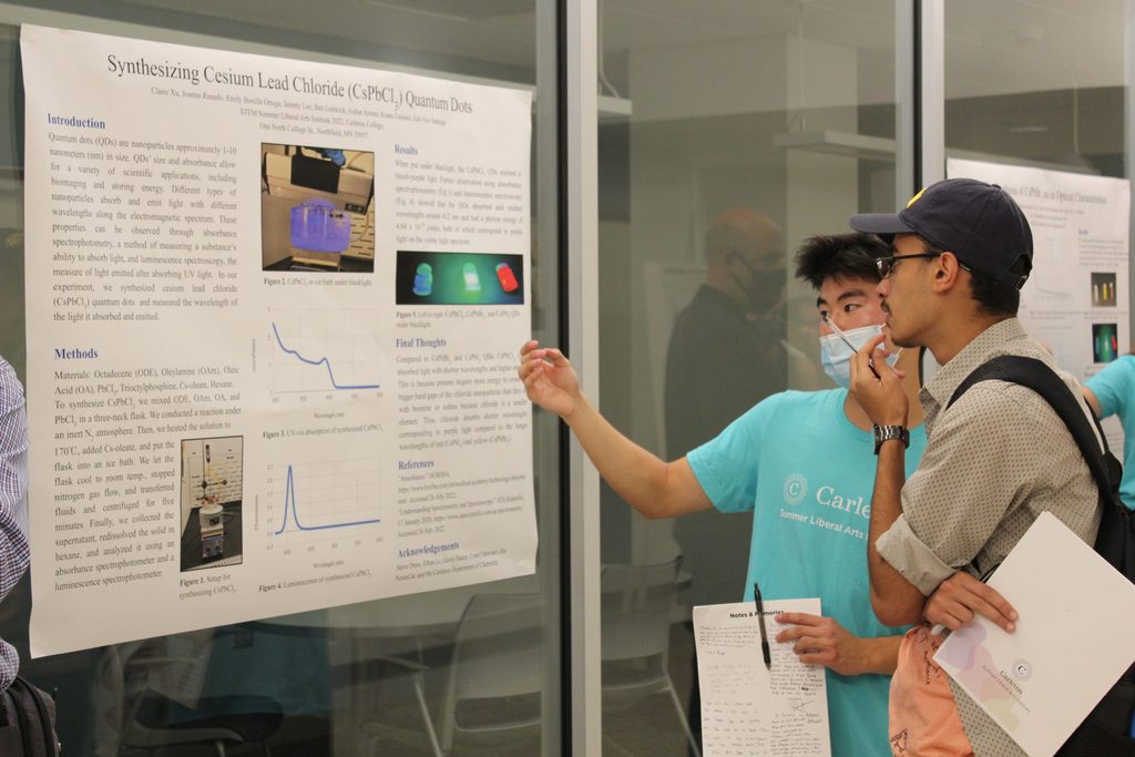 Two Summer Carls stand looking towards a research poster. One is explaining the poster to the other.