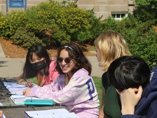 Global Pandemics students engage in discussion around a picnic table