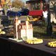 Cake replica of Willis Hall and 500 sesquicentennial cupcakes at Bridge Square October 13
