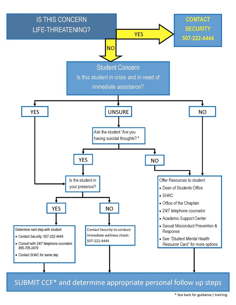 Decision tree for helping a student in crisis