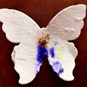 Seed Paper Butterfly