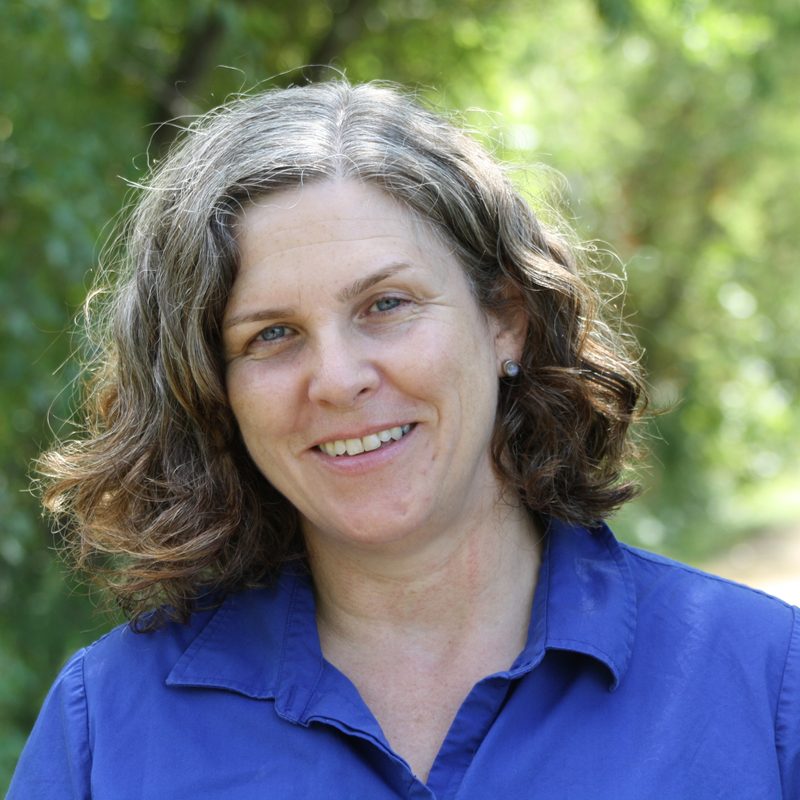 Multilingual Writing Support Academic Support Center Carleton College