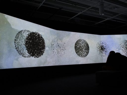 Three projection screens in a dark room displaying images of dark spheres.