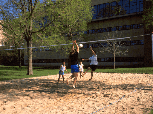 Sand Volleyball Game