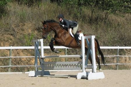 Equestrian jumping