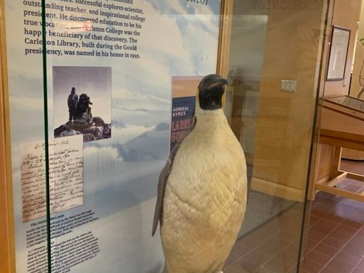 library display of a penguin