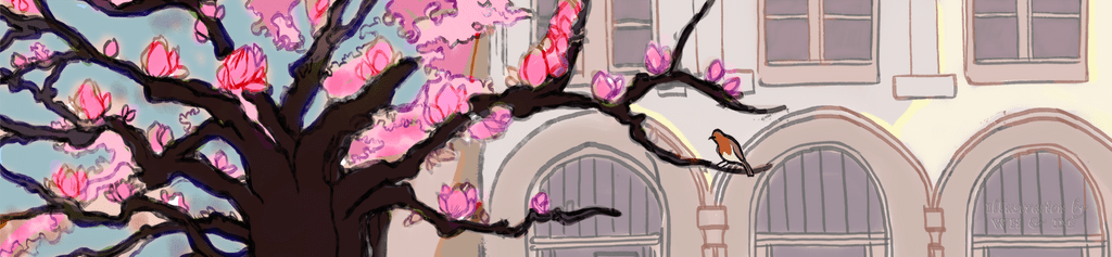 Leighton in springtime with Magnolia tree and robin.