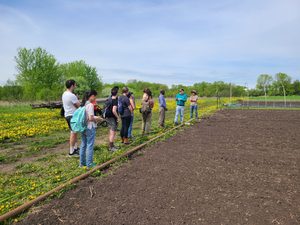 a group of students stands by a field at Sharing Our Roots Farm in Northfield