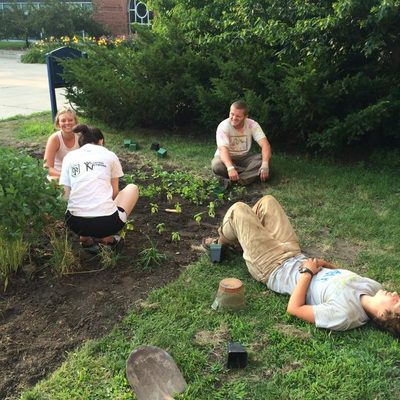 Students take a break from planting basil in Eat the Lawn's new home.