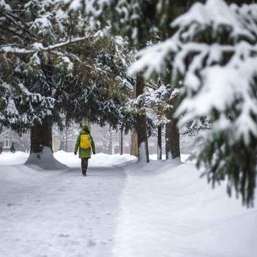 Winter Scene