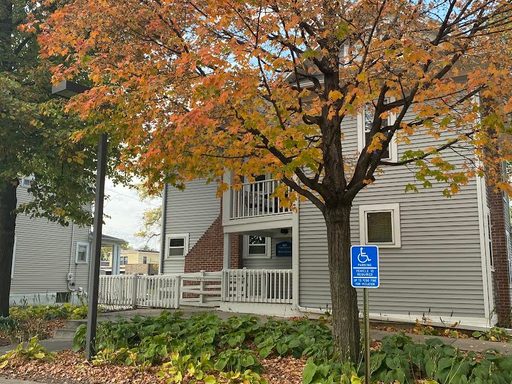 tree with orange leaves in front of a house