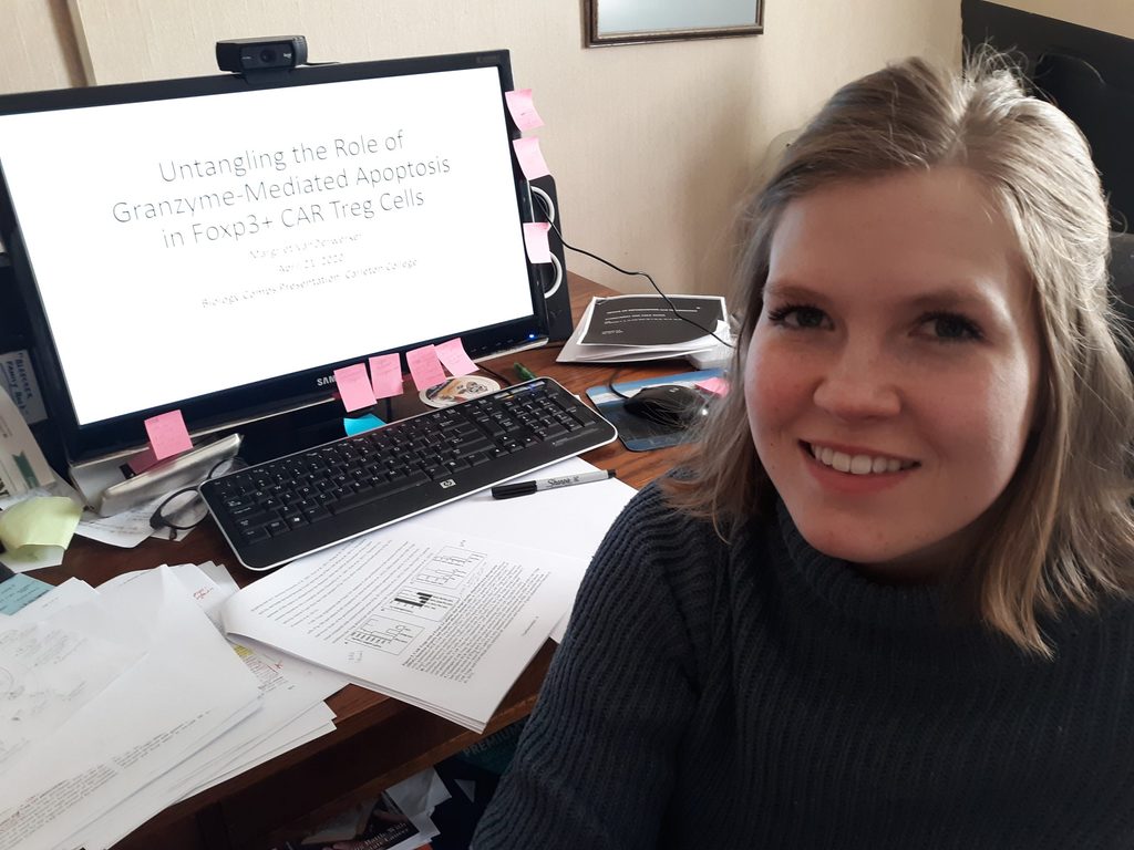 Student sitting at a computer