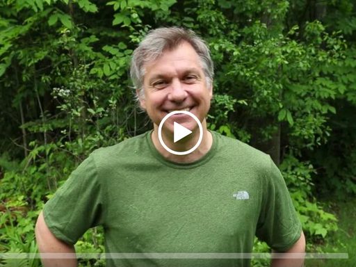 Chris Kratt video message