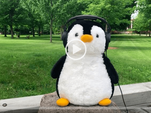 plush penguin