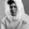 Gould of the Antarctic.