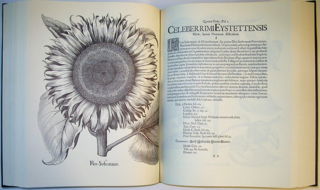 Besler’s Florilegium