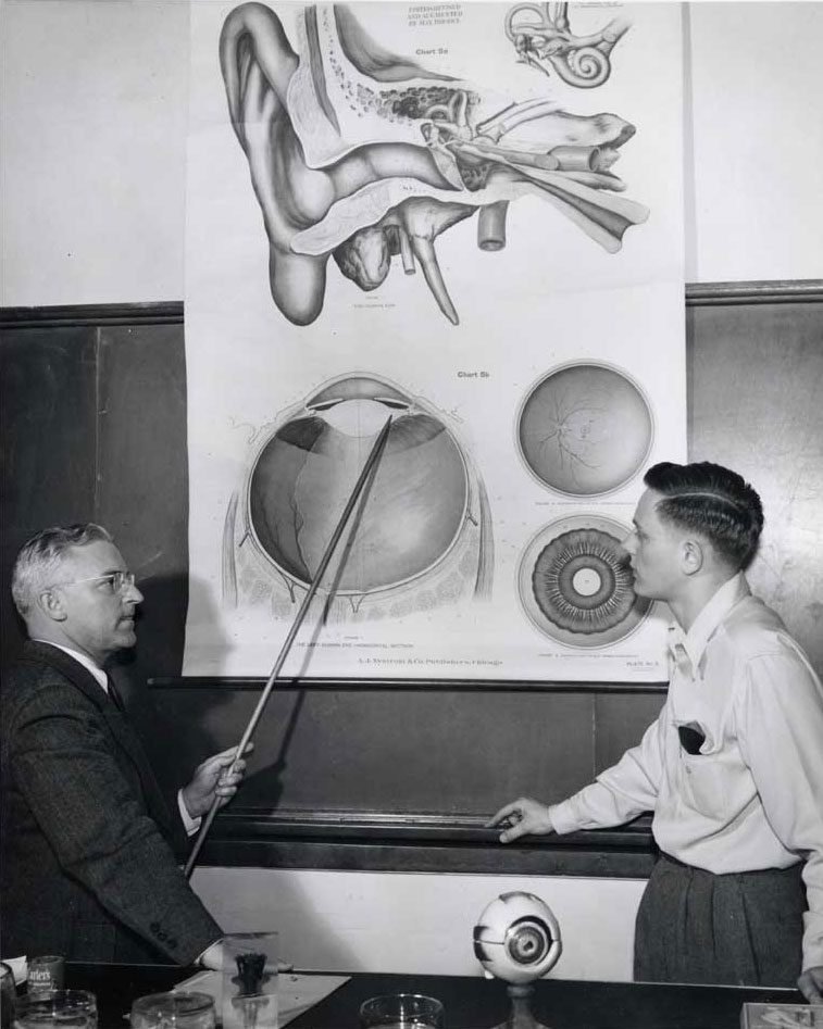 A wall chart in use