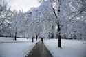 Around Campus-Great Student Photos