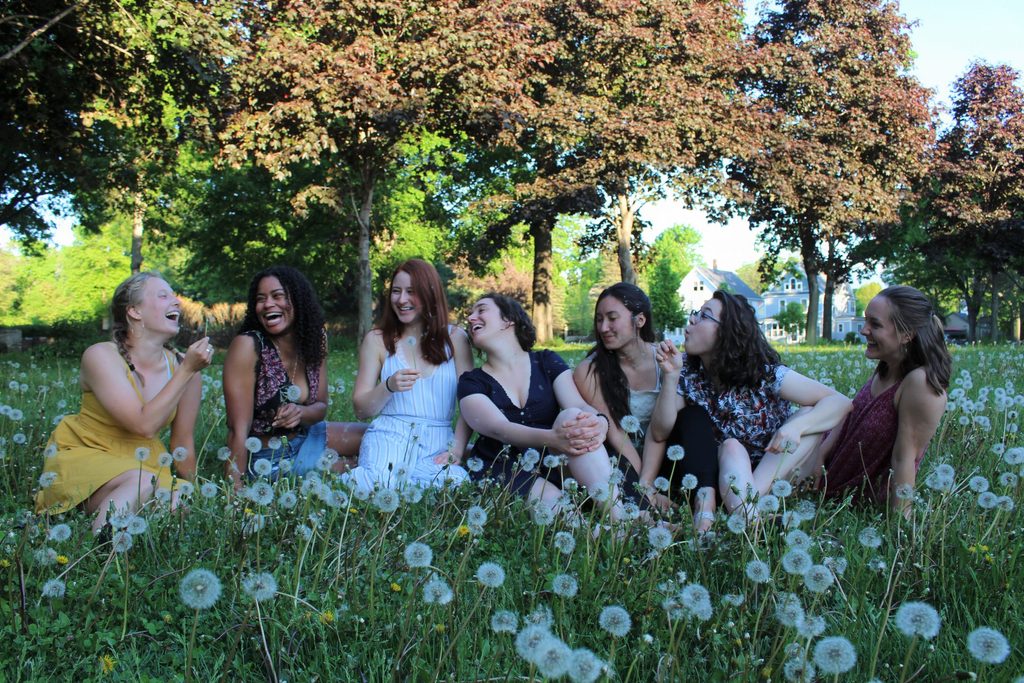 The Accidentals Spring 2019