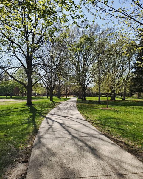 Campus in the springtime