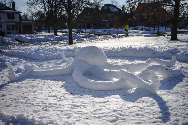 Students joined CANOE to create an octopus out of snow