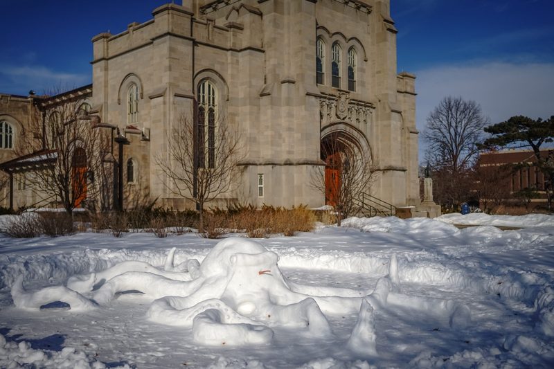 Students joined CANOE to create an octopus out of snow