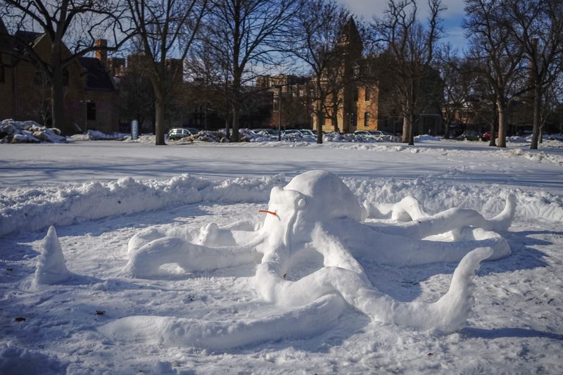 Students joined CANOE to create an octopus out of snow