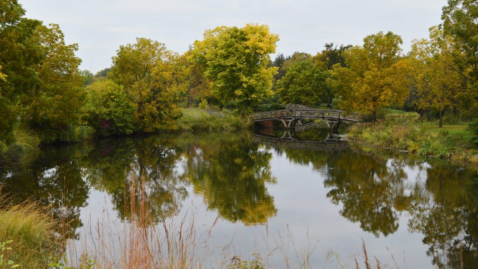 Fall Beauty 2014