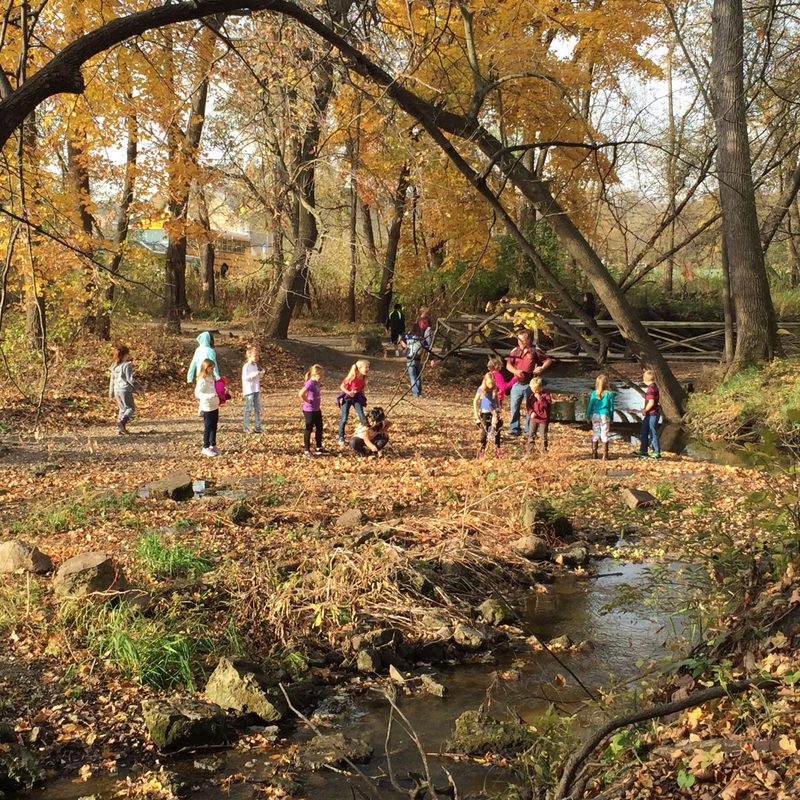 Cowling Arboretum Bioblitz News Carleton College