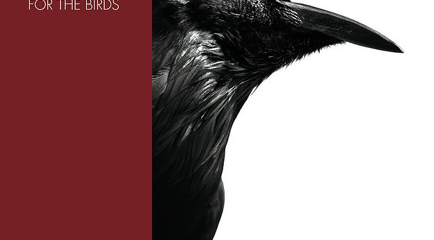 Zeitgeist, Victor Zupanc and Kevin Kling present "For The Birds."
