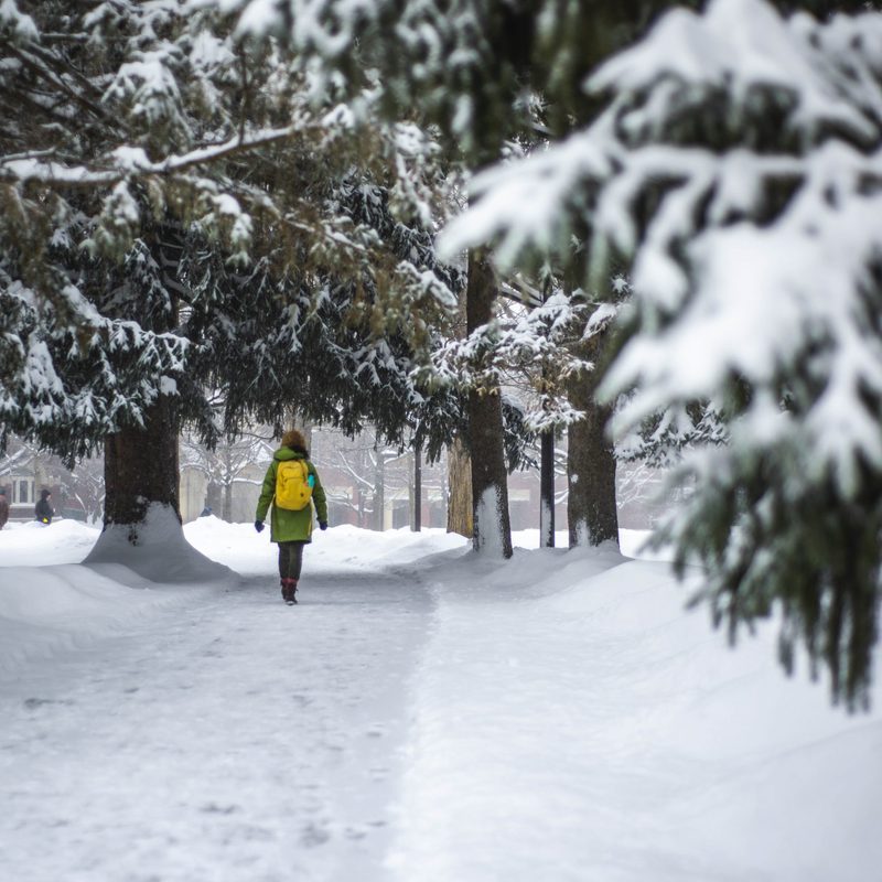 (April Fool) Carleton College Announces Winter Free Academic Calendar (April Fool) Carleton College Announces Winter Free Academic Calendar