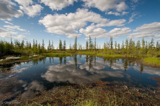 Carls Get Up Close & Personal With Climate Change – News – Carleton College