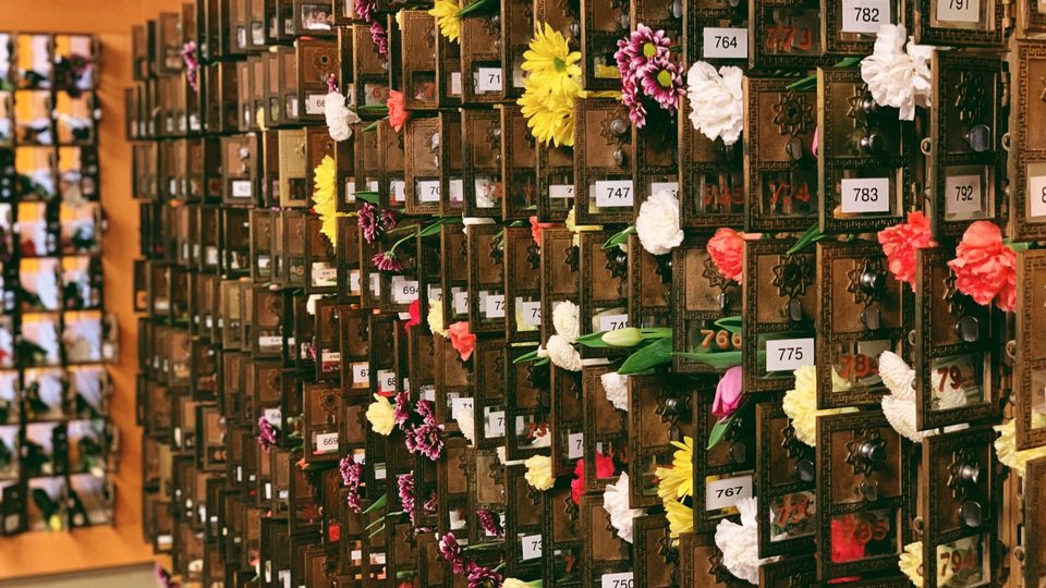 Virtual Friday Flowers