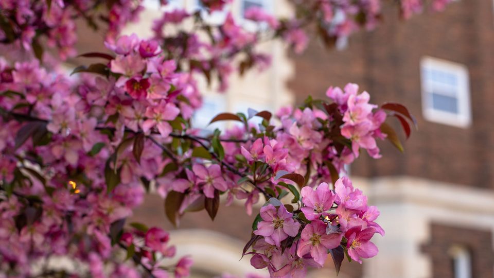 Campus photos, spring 2020
