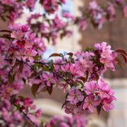 Campus photos, spring 2020