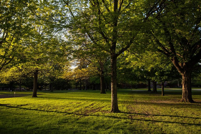 Campus photos, spring 2020